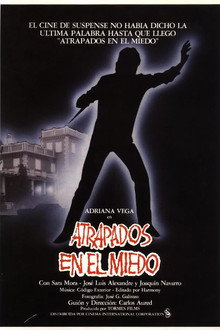 Caught in Fear poster