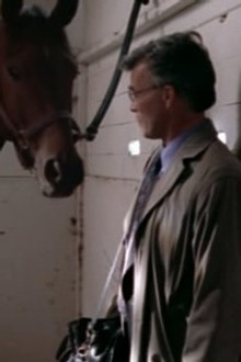 You See How It Begins?