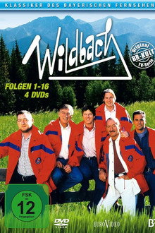 Wildbach poster