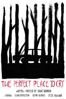 The Perfect Place to Cry poster