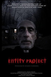Entity Project poster