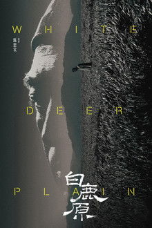White Deer Plain poster
