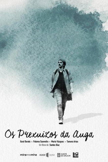 Os prexuízos da auga poster