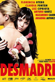 Desmadre poster