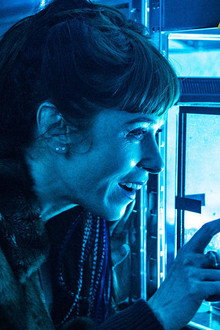 Phyllobates Terribilis