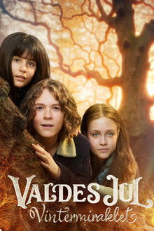 Valdes Jul - Vintermiraklet poster