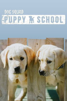 Dog Squad Puppy School poster