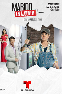 Husband for Rent aka Husband for Hire poster
