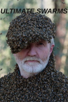 Ultimate Swarms poster