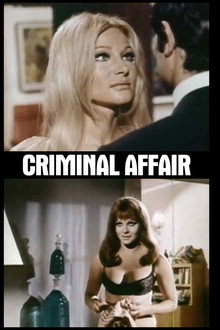 Criminal Affair poster