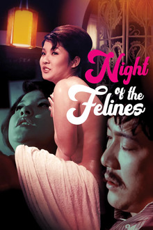 Night of the Felines poster