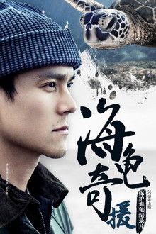 海龟奇援 poster
