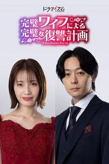 The Flawless Revenge by the Flawless Wife poster