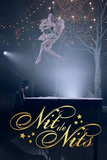 Nit de nits poster