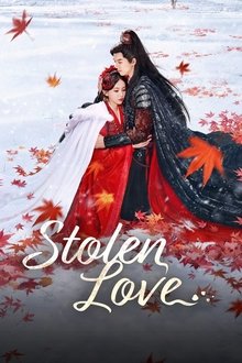 Stolen Love poster