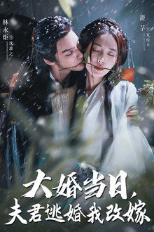 大婚当日夫君逃婚我改嫁 poster