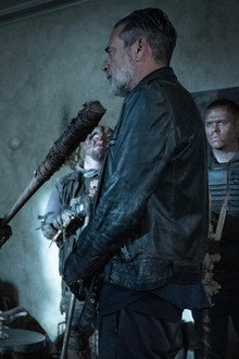 The Bird Always Knows