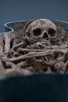 Lost Tombs of Notre Dame
