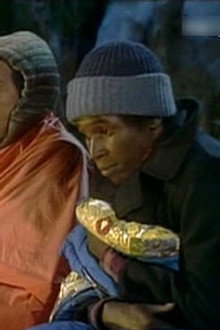 The Camp-Out
