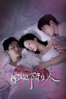 My Stranger Husband poster