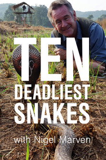 Ten Deadliest Snakes with Nigel Marven poster