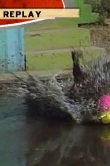 People Who P!$$ Us Off vs. Worst Jobs