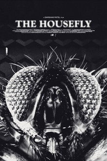 The Housefly poster