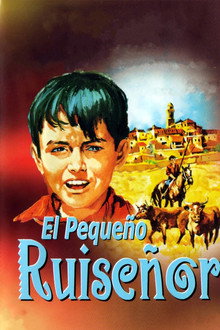 The Little Nightingale poster