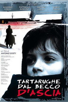 Tartarughe dal becco d'ascia poster