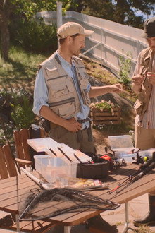 Summer Show & Shared Newspaper