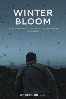 Winter Bloom poster