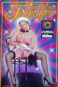 Lehrjahre eines Teenagers poster