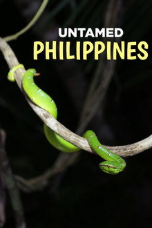 Untamed Philippines poster