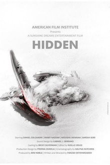 Hidden poster
