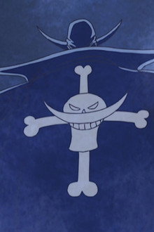 Monsters Appear! Don't Mess with the Whitebeard Pirates!