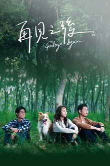 Goodbye Again poster
