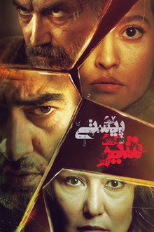 The Lion Skin poster