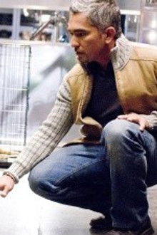 The Finger in the Nest