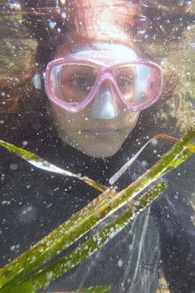 The seagrass rescuers from the Balearic Islands