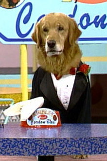 Brandon's Commercial