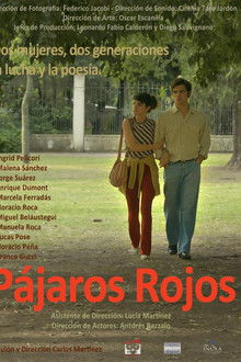 Pájaros rojos poster