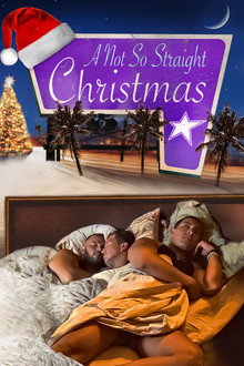 A Not So Straight Christmas poster