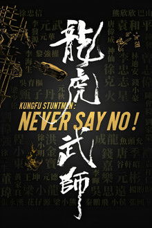 Kung Fu Stuntmen poster