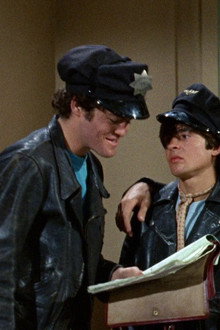 The Wild Monkees