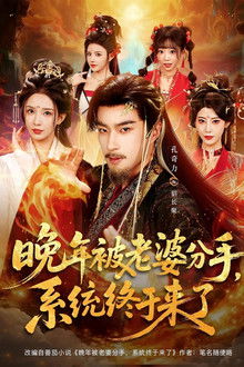 晚年被老婆分手，系统终于来了 poster