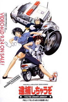 You're Under Arrest poster