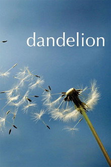 Dandelion poster