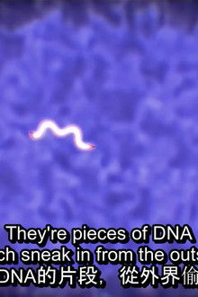 Are There Aliens Inside Us?