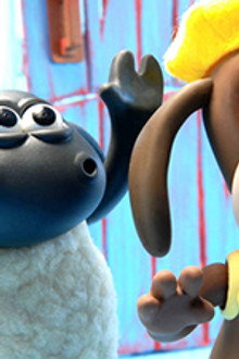 Timmy Wants The Beret