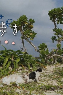 Okinawa